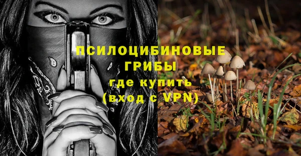 ГАЛЛЮЦИНОГЕННЫЕ ГРИБЫ Богородицк