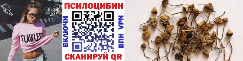 Псилоцибиновые грибы GOLDEN TEACHER  где купить наркоту  Партизанск 